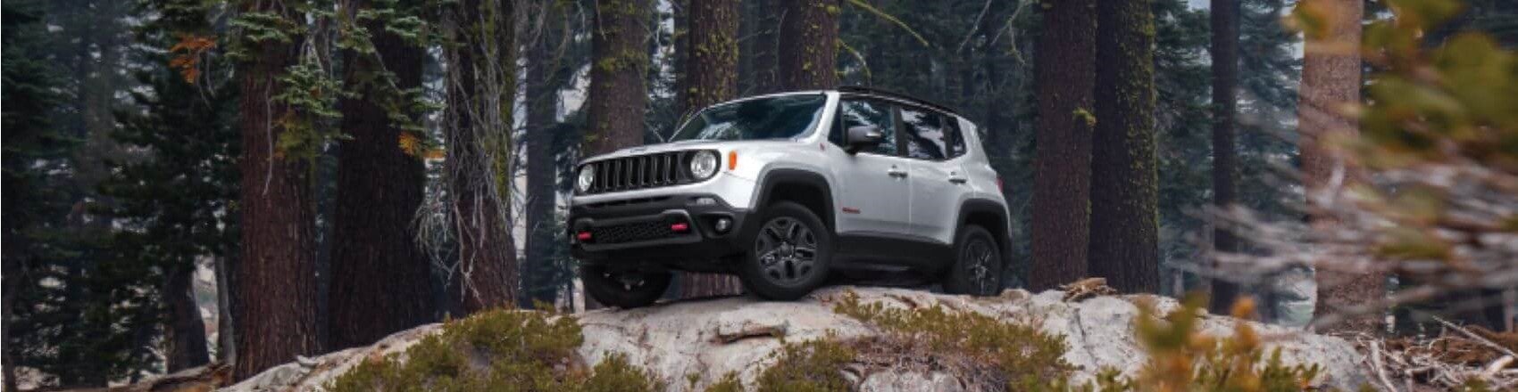 Jeep Renegade Snipped